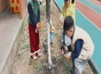 掬一束春光，种一隅美好