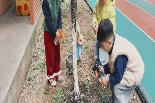 掬一束春光，种一隅美好