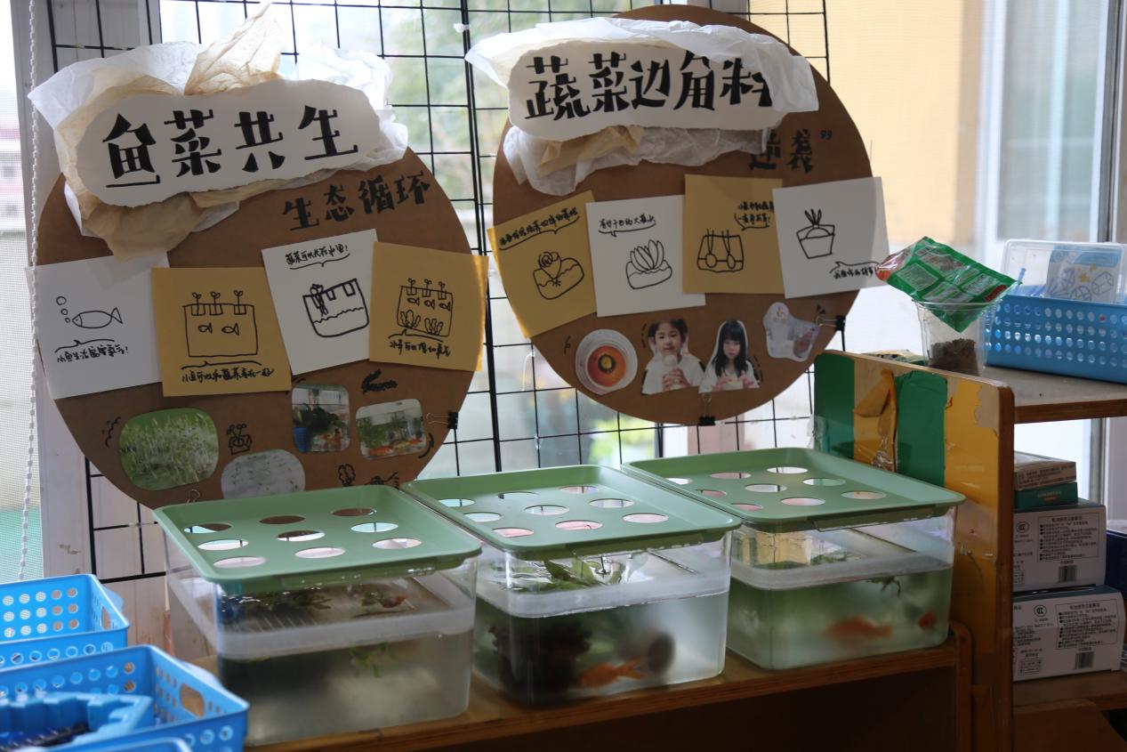 童探户外趣，自然伴成长