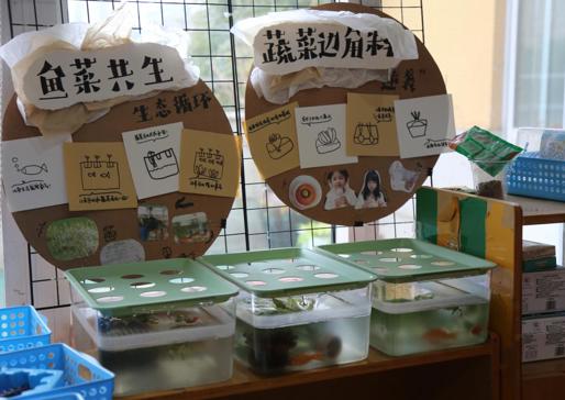 童探户外趣，自然伴成长